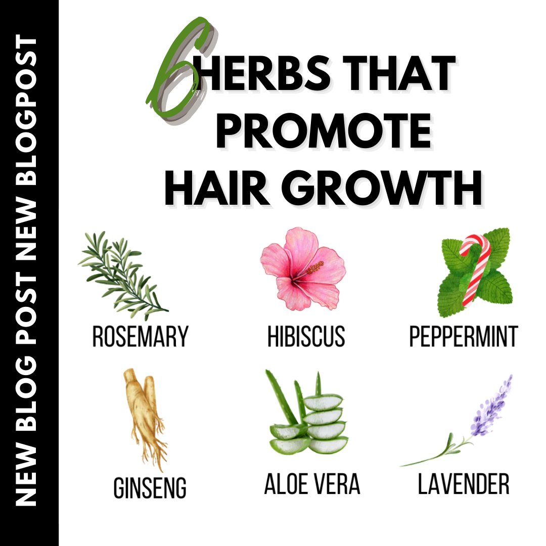 Best Herbs for Hair Growth - Natural Hair Can Grow