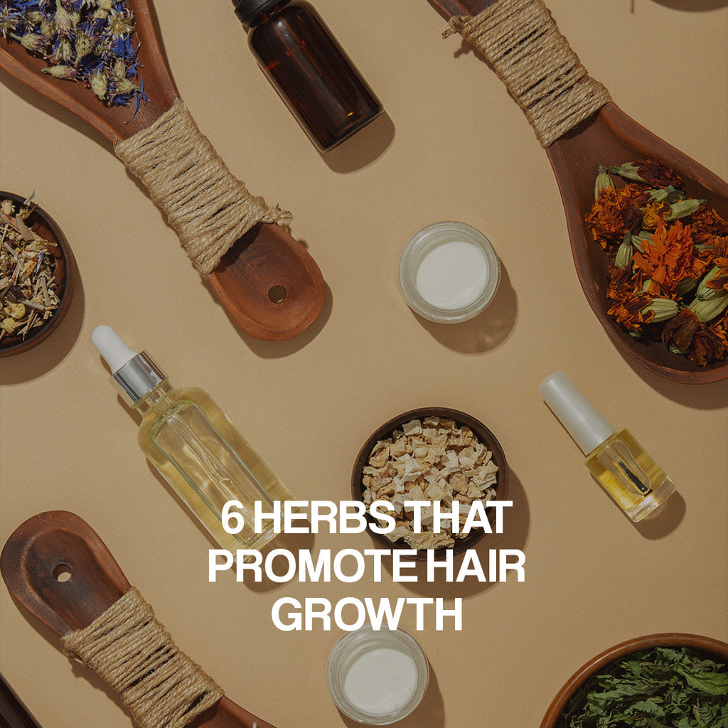 6 HERBS THAT PROMOTE HAIR GROWTH